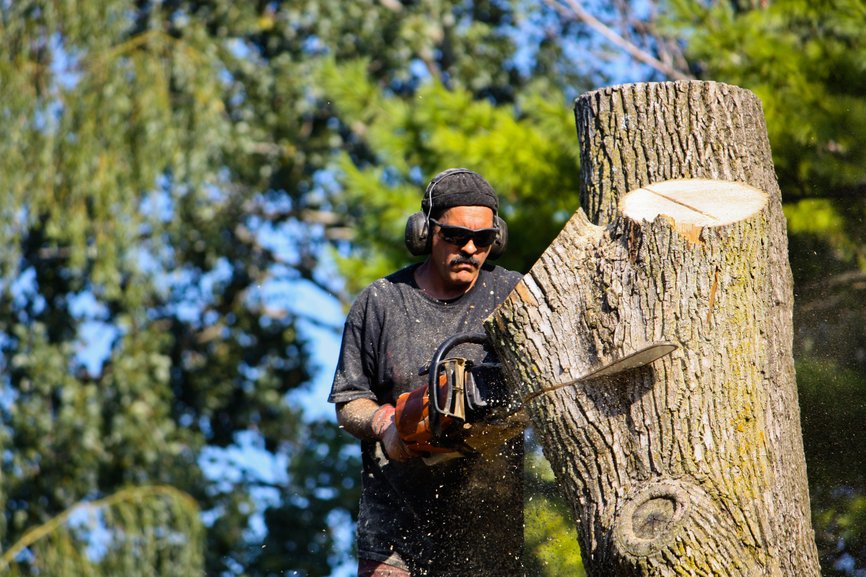 Tree Trimming and Removal