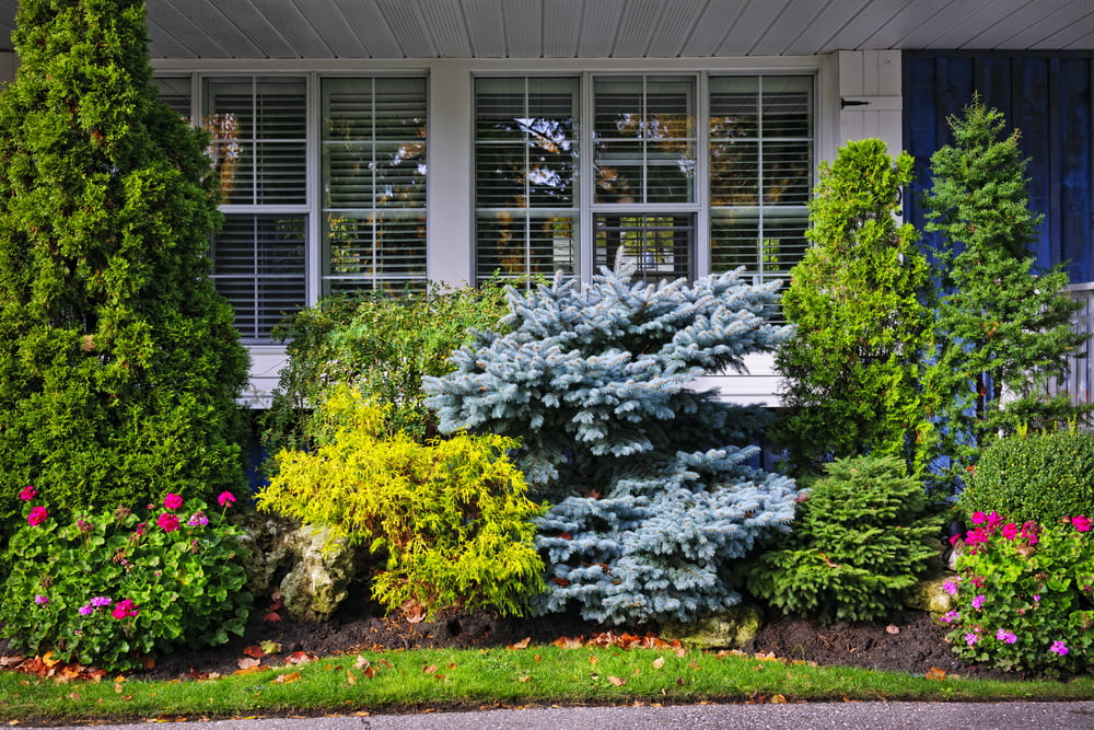 Arborist Landscaping Trends