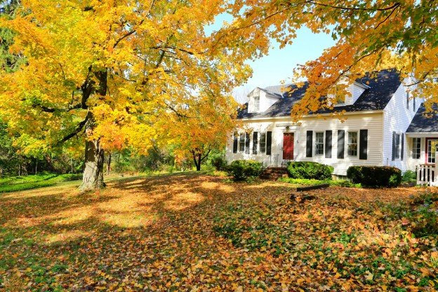 Autumn Tree Services