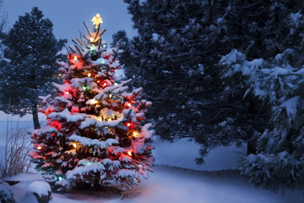 holiday lighting