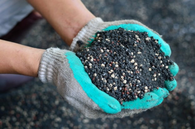 tree and shrub fertilization
