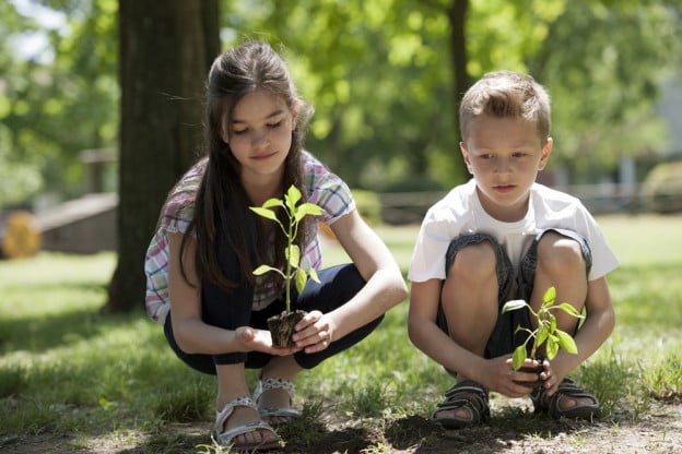 Planting Trees