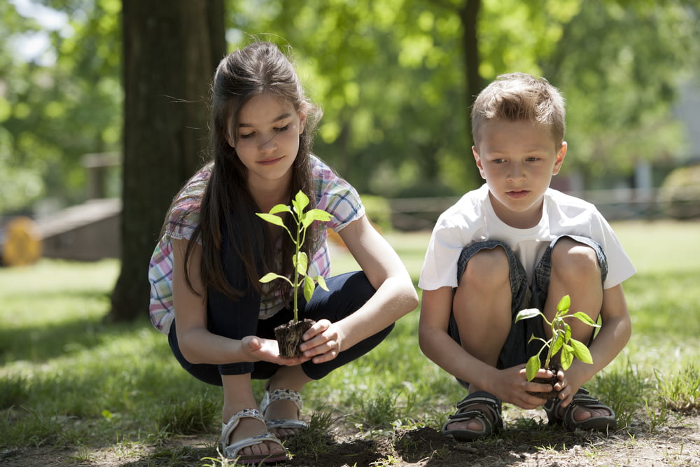 Planting Trees