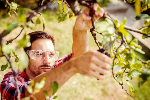 Tree Pruning