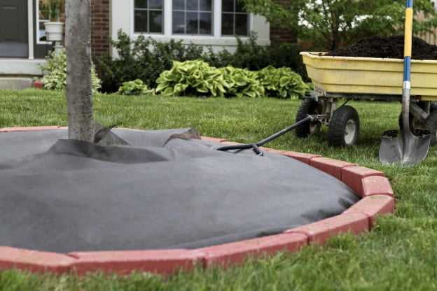 Utah Arborist Advice for Mulching Trees