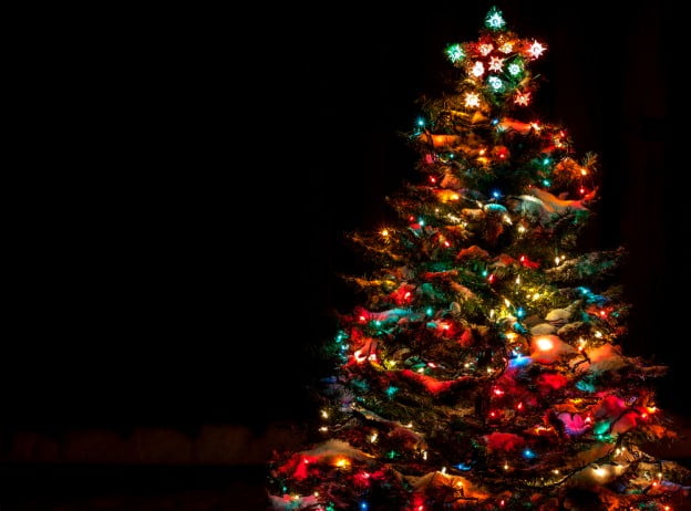 Holiday Lighting to the pros