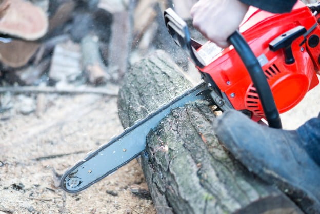How to Choose a Utah Arborist for Your Tree Services