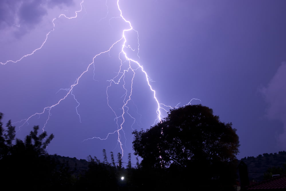 Handling Tree Damage from a Lightning Strike