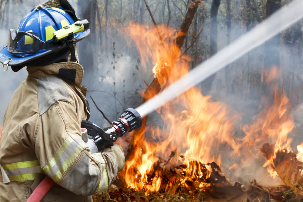 tree property fire risks summer